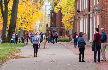 Web漏洞扫描工具